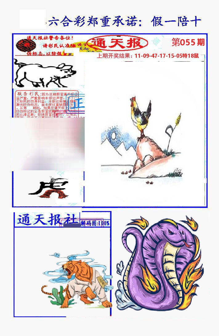 通天报 第55期