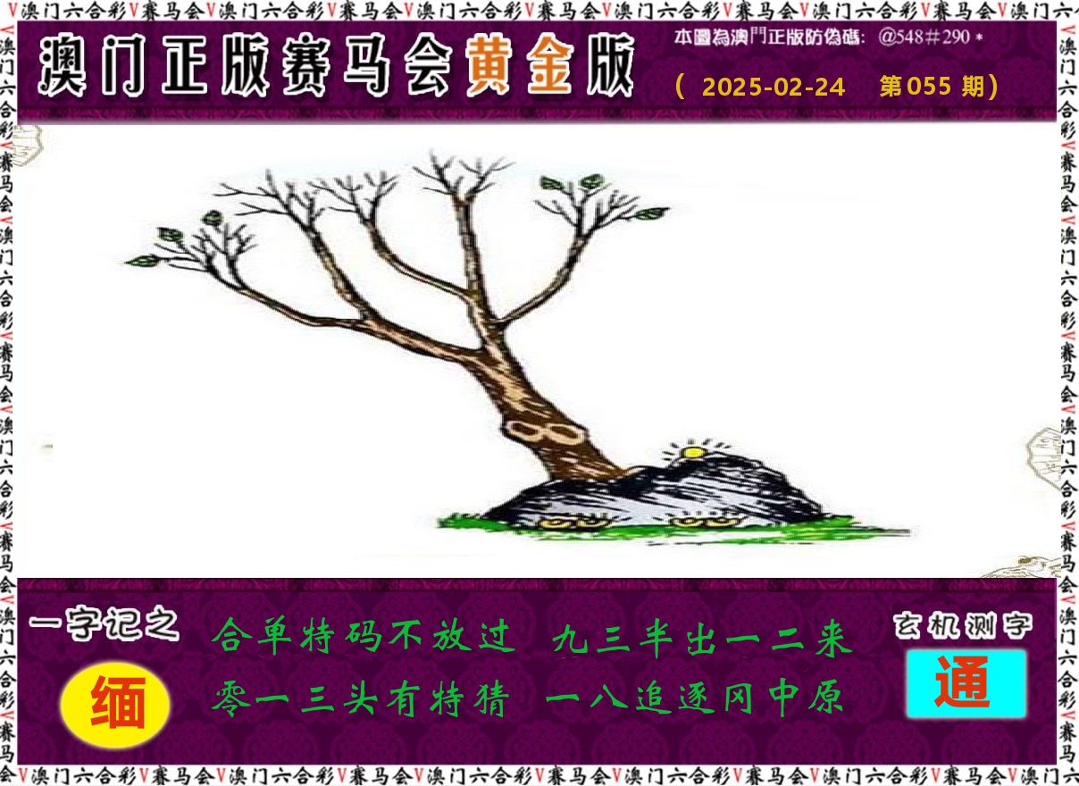 赛马会黄金版 第55期