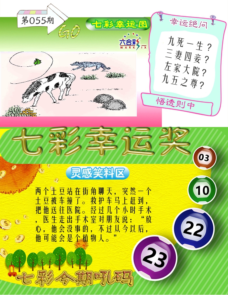 七彩幸运奖 第55期