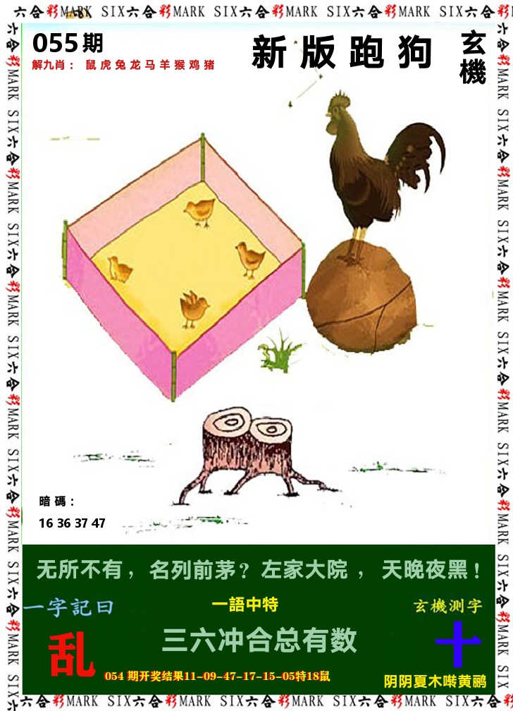悟入其图 第55期
