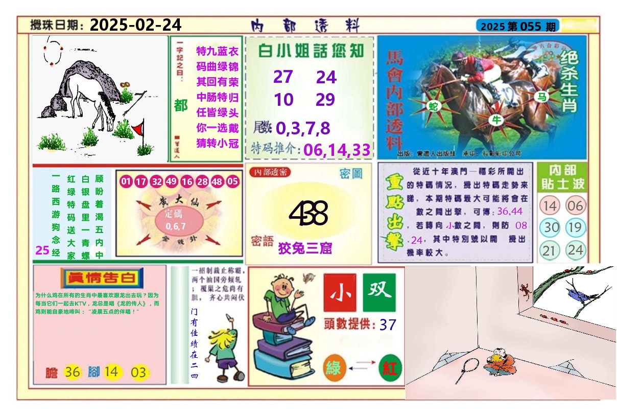 澳门内部透料A 第55期