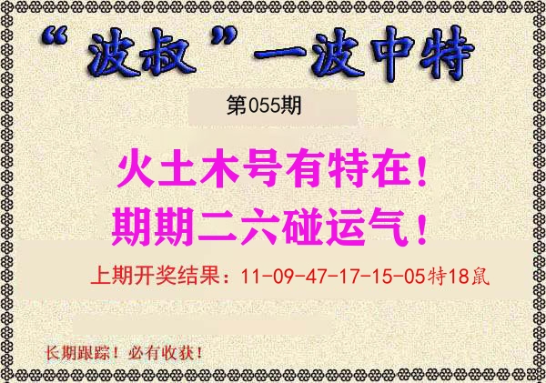 波叔中特 第55期
