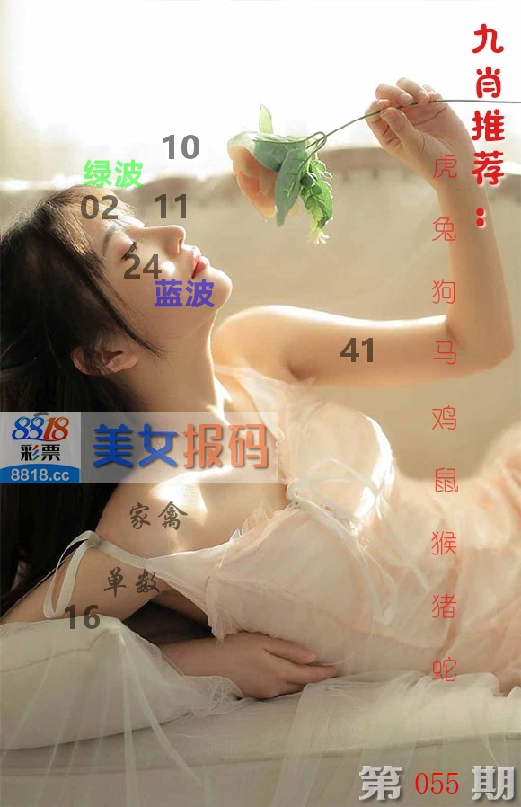 美女报码 第55期