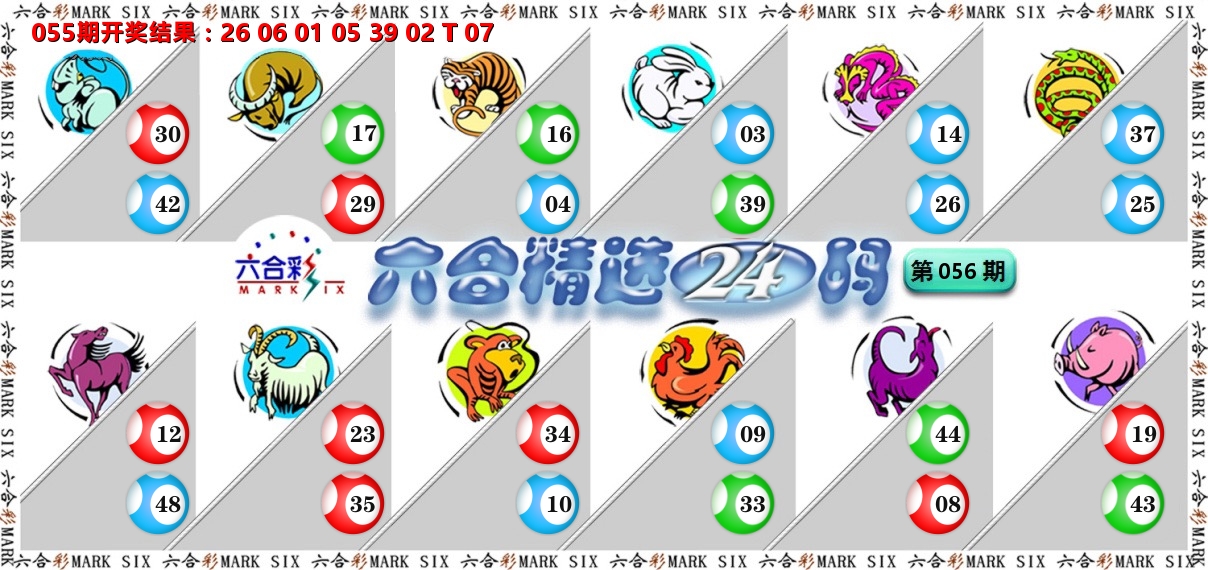 六合精选24码 第56期