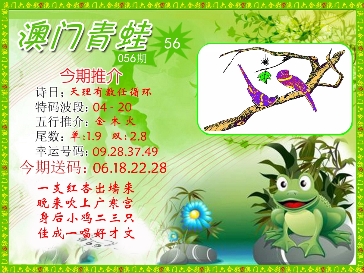 青蛙系列56 第56期