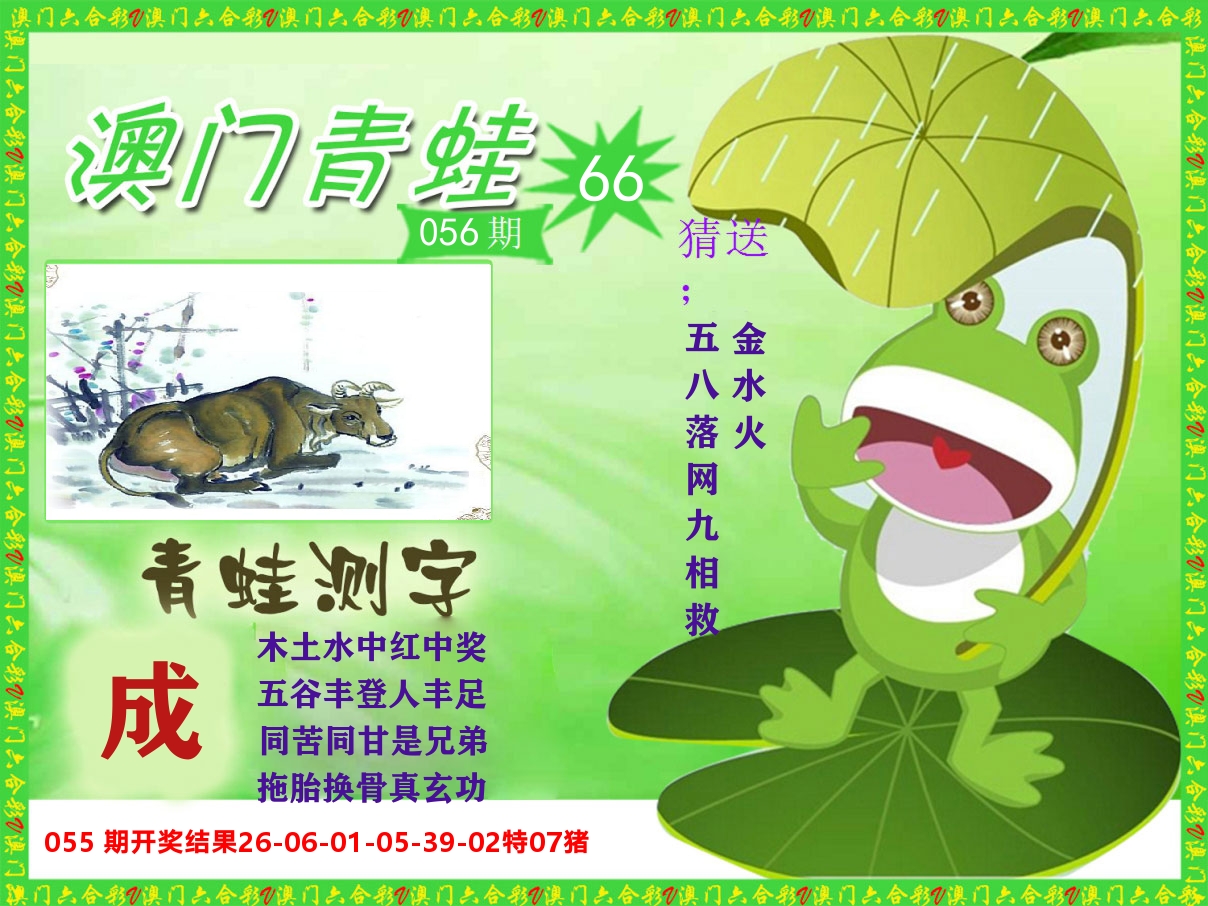青蛙系列66 第56期