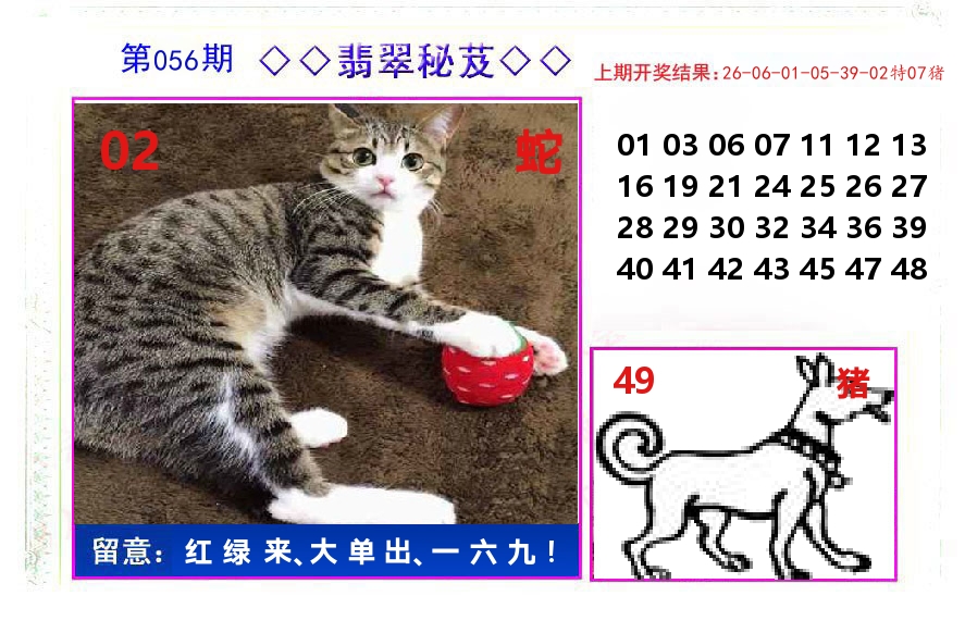 翡翠秘芨 第56期