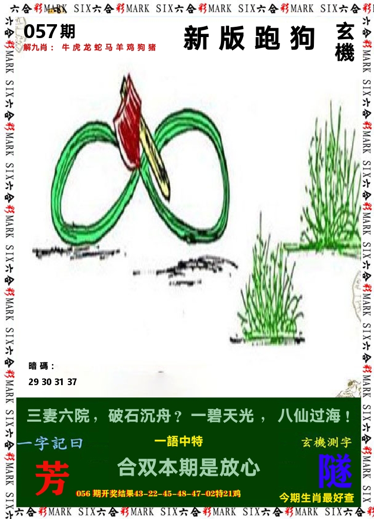 悟入其图 第57期