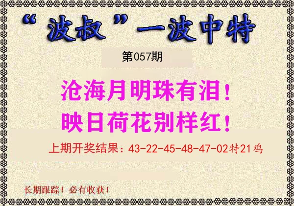 波叔中特 第57期