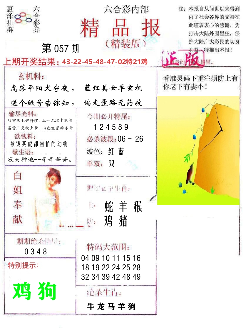 精品报 第57期