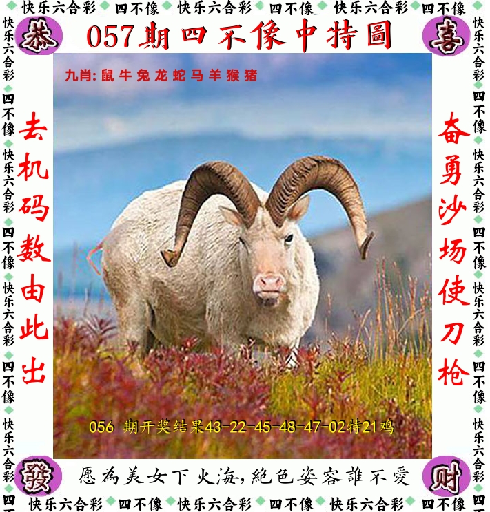 四不像 第57期