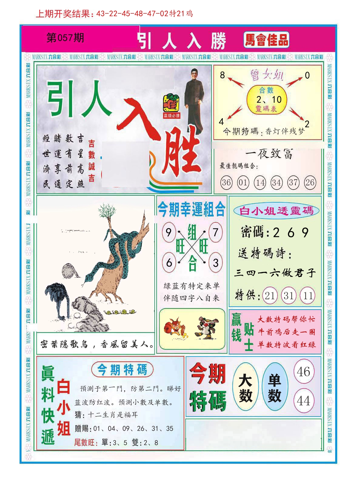 引人入胜 第57期