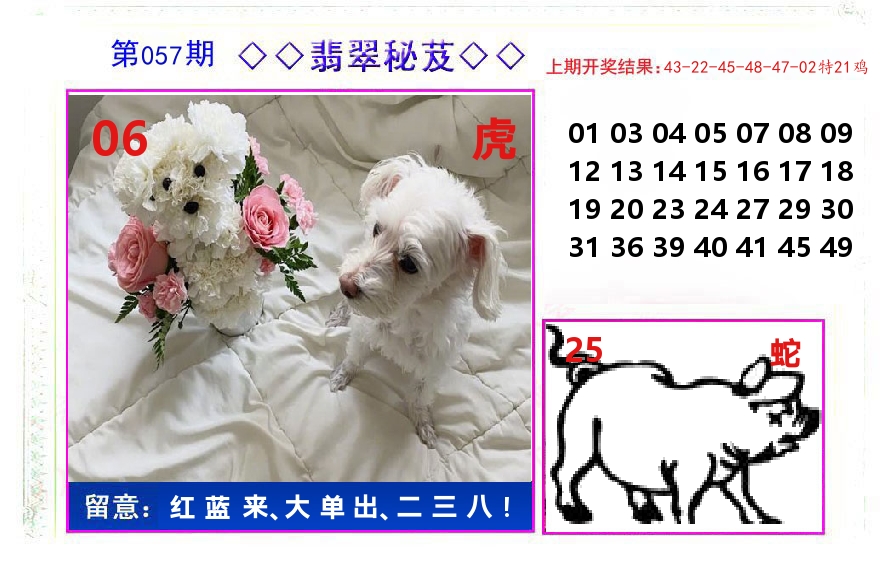 翡翠秘芨 第57期