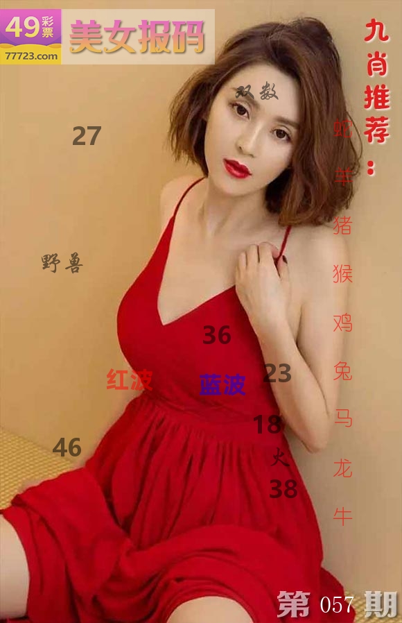 美女报码 第57期