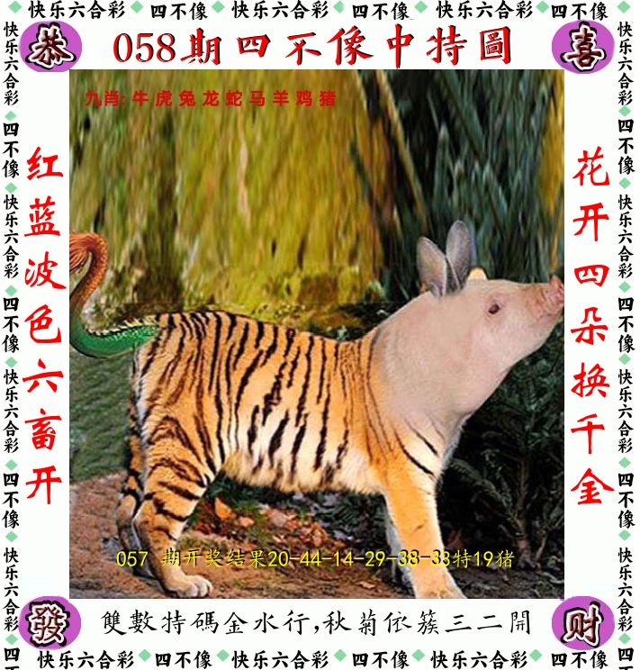 四不像 第58期