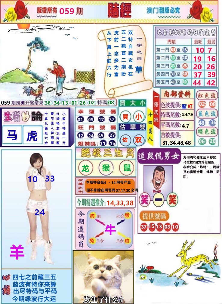 澳门赌经 第59期