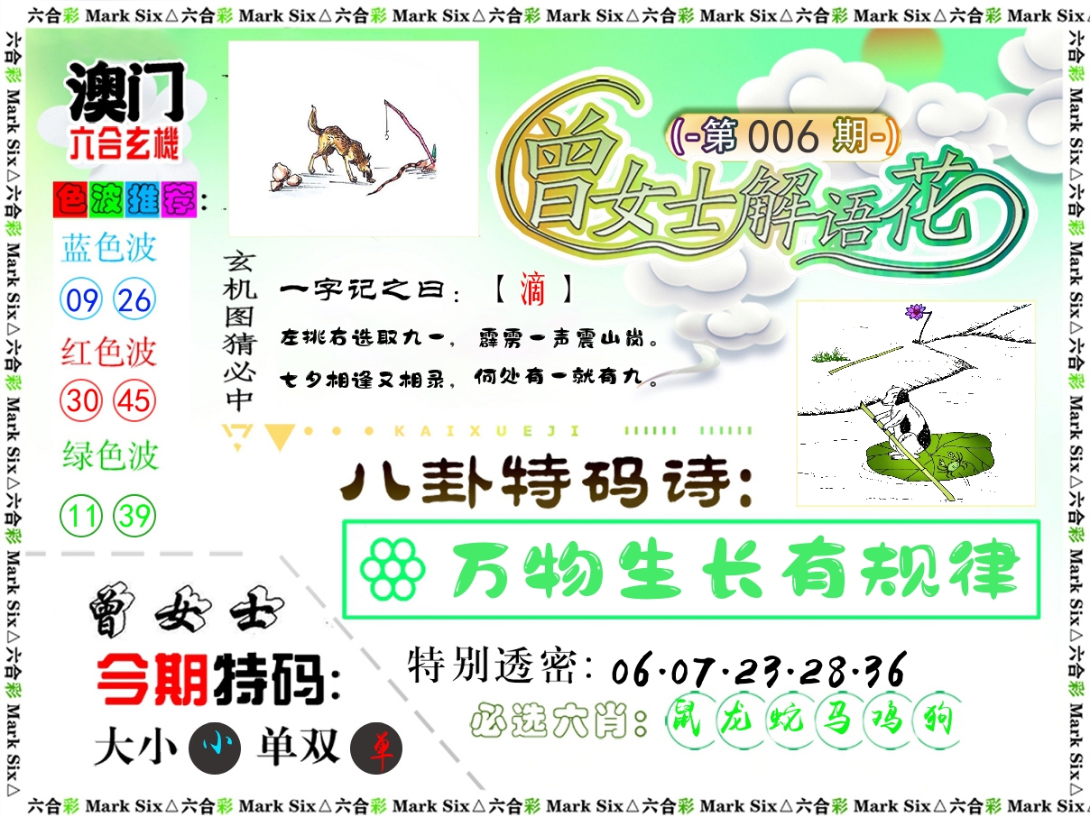 曾女士解语花 第6期