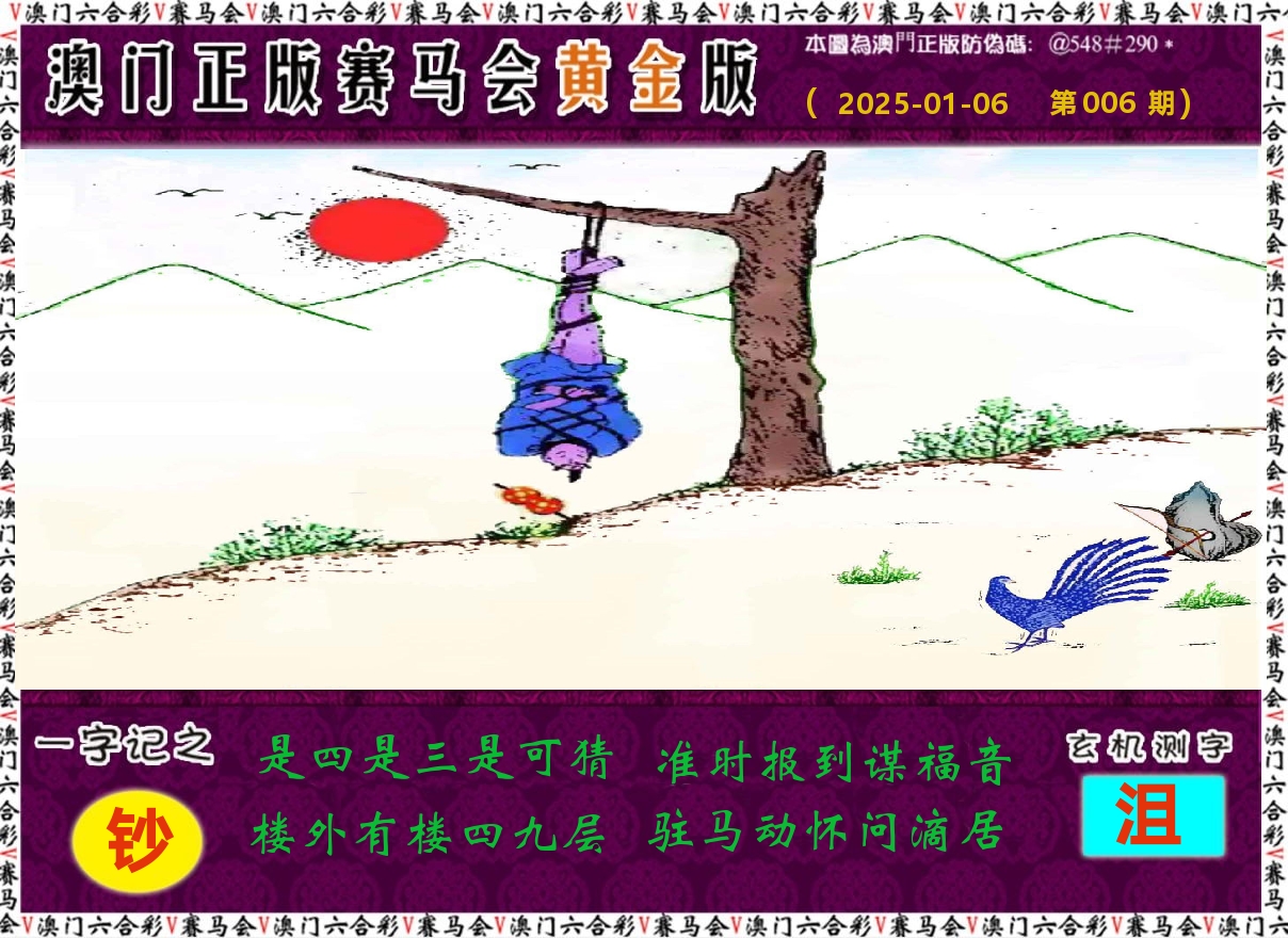 赛马会黄金版 第6期