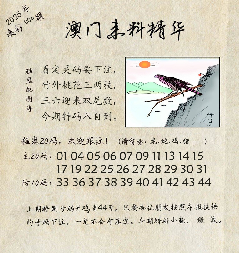 精华来料 第6期