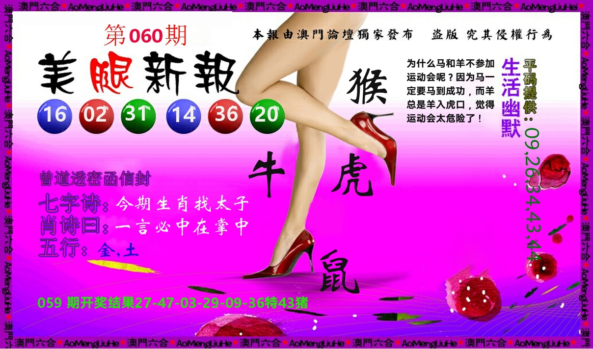 美腿新报 第60期