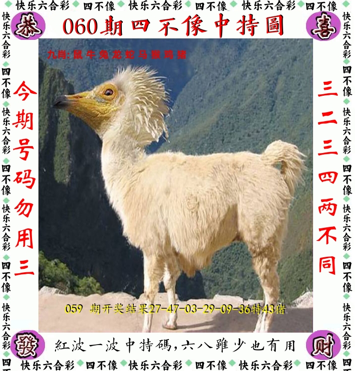 四不像 第60期