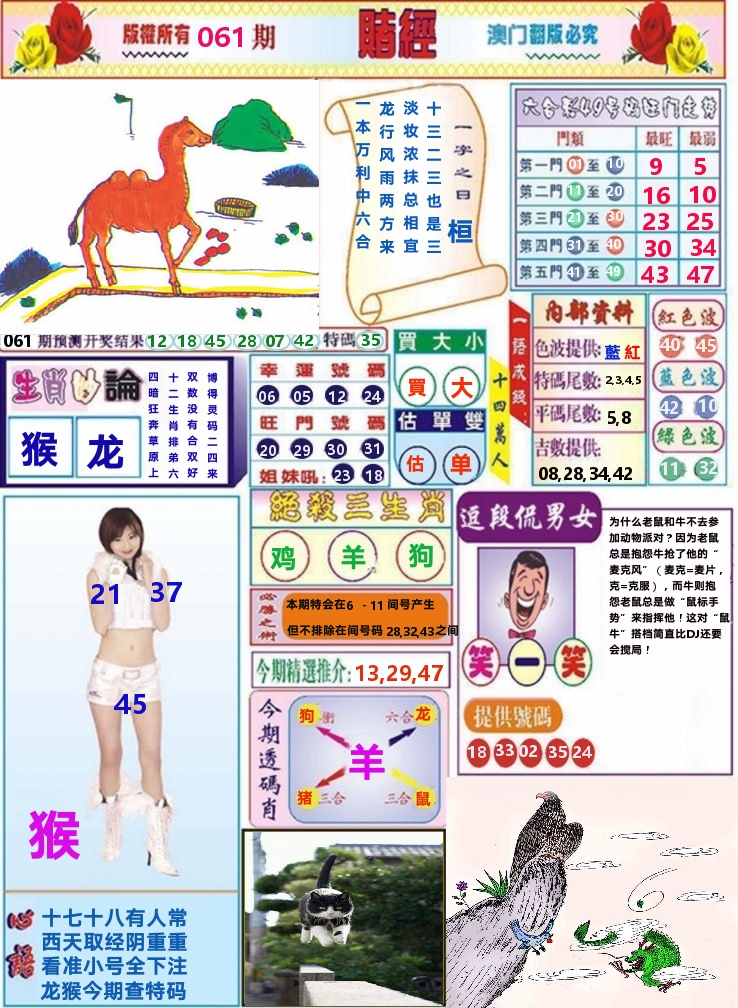 澳门赌经 第61期