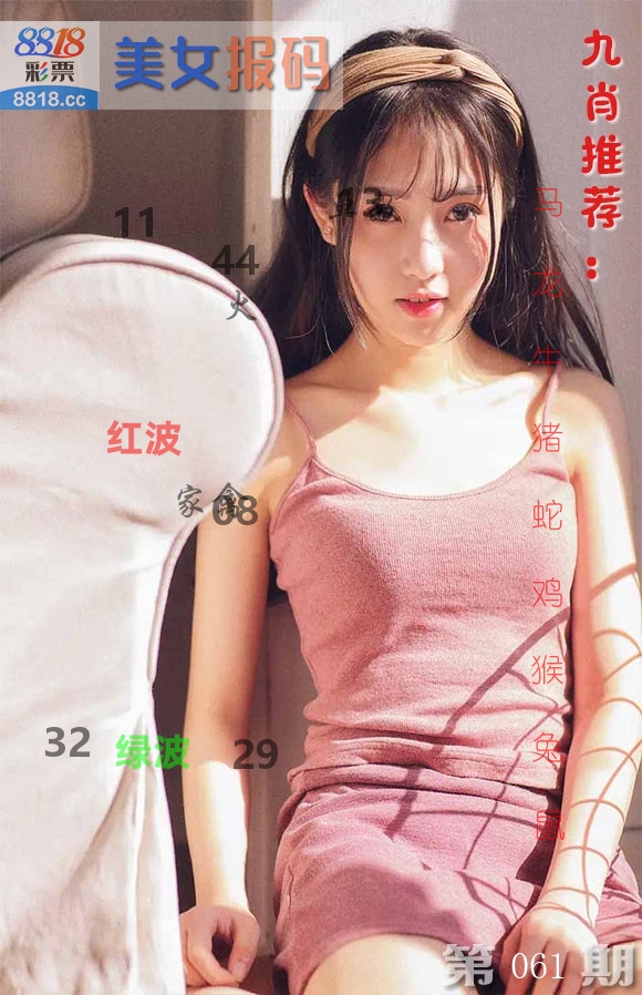 美女报码 第61期