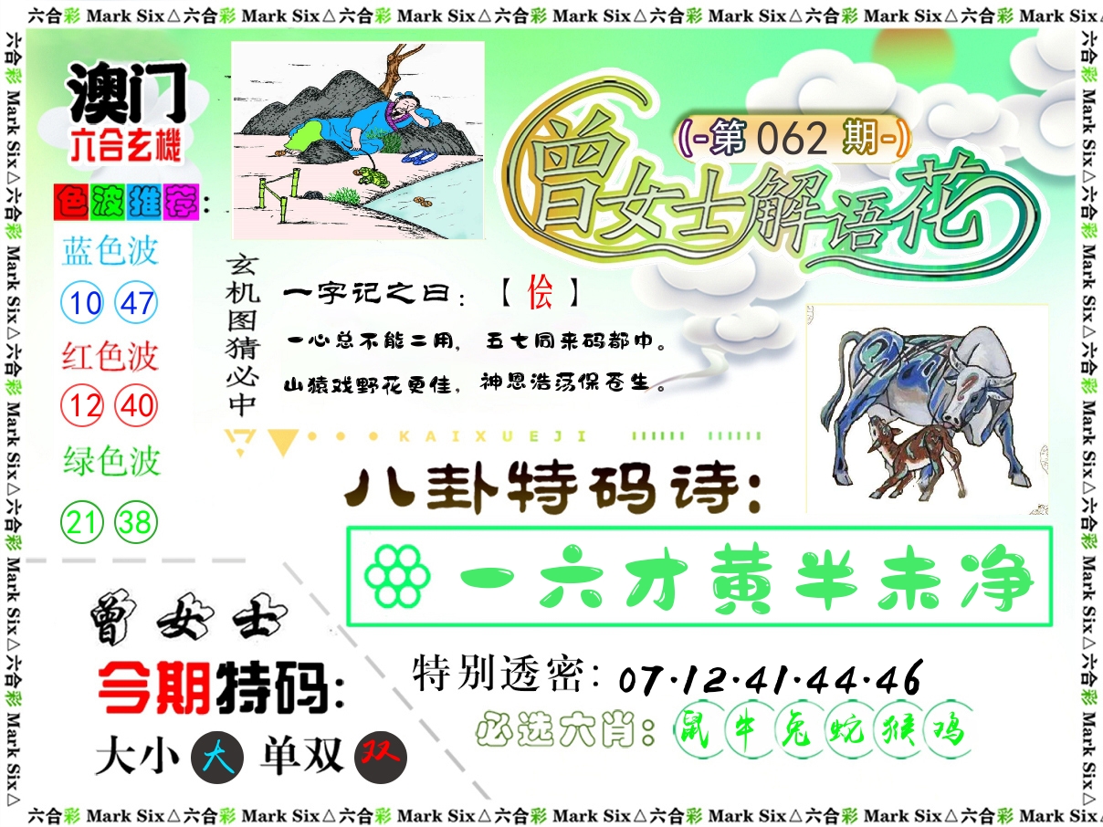 曾女士解语花 第62期