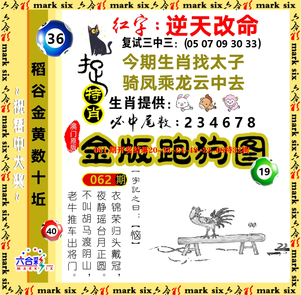 金版跑狗图 第62期