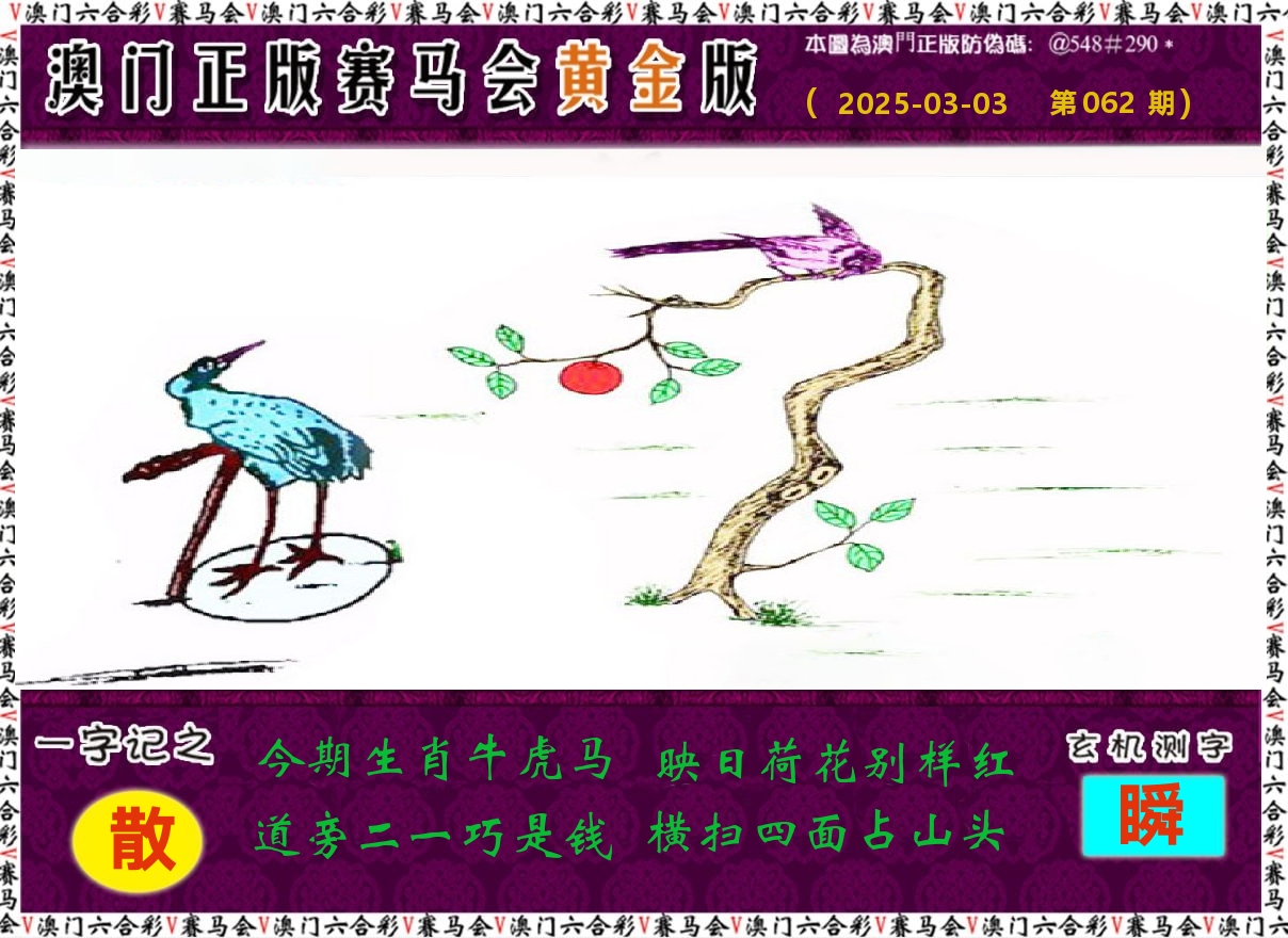 赛马会黄金版 第62期