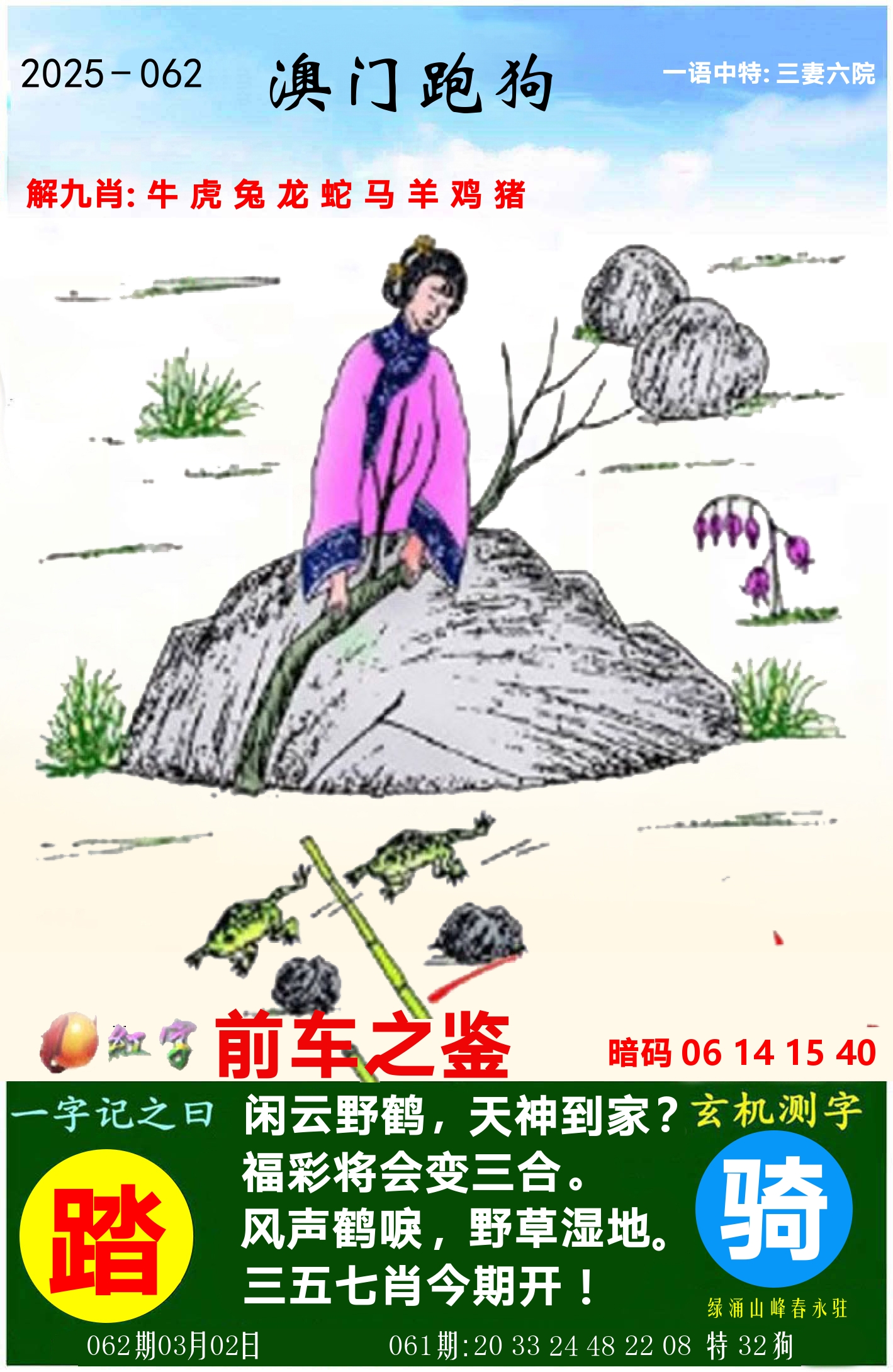 澳门跑狗图 第62期