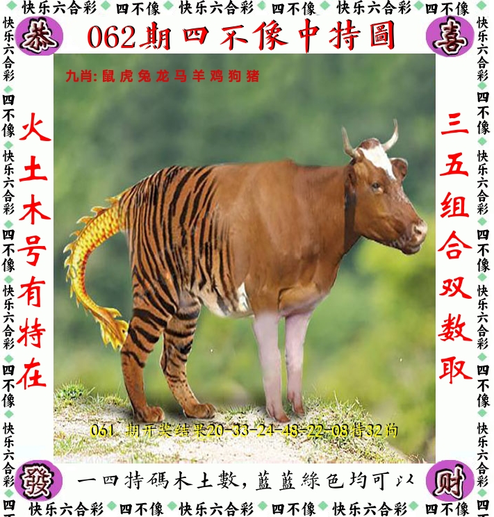 四不像 第62期