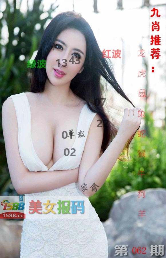 美女报码 第62期
