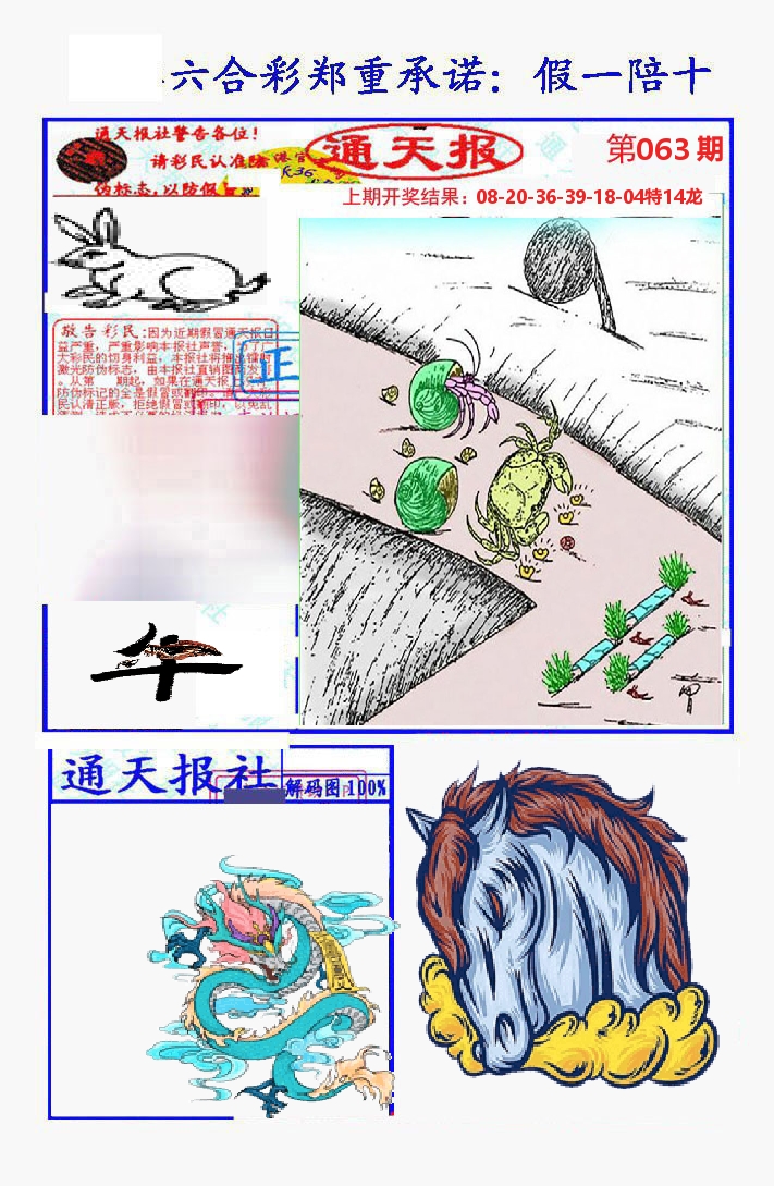 通天报 第63期