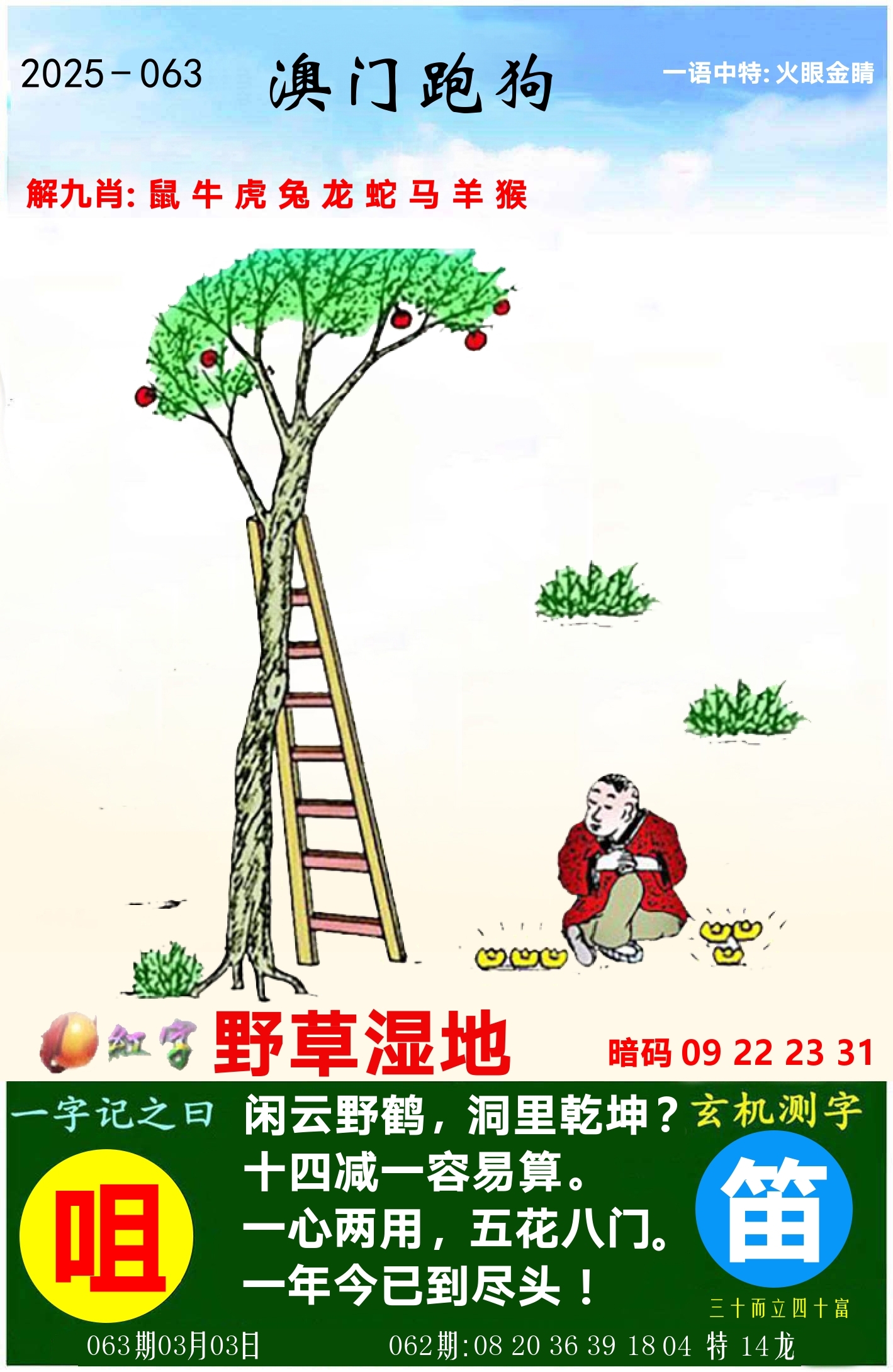 澳门跑狗图 第63期