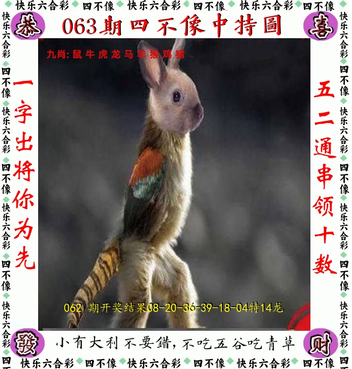 四不像 第63期