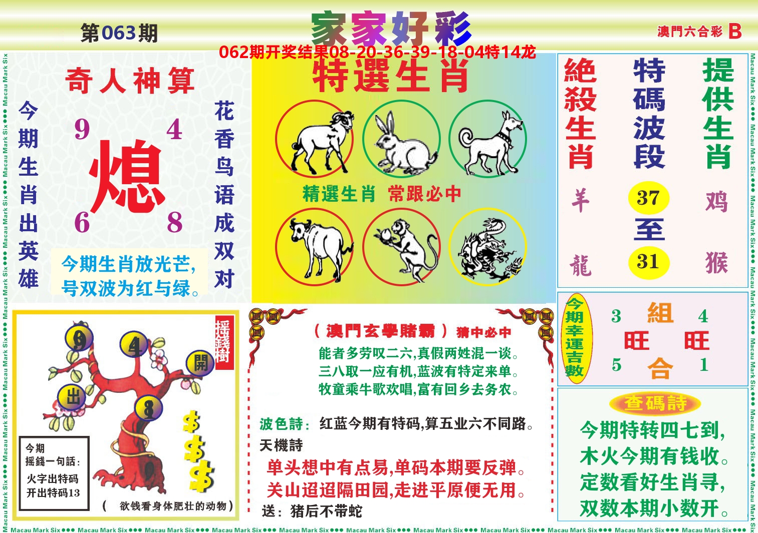 家家好彩B 第63期