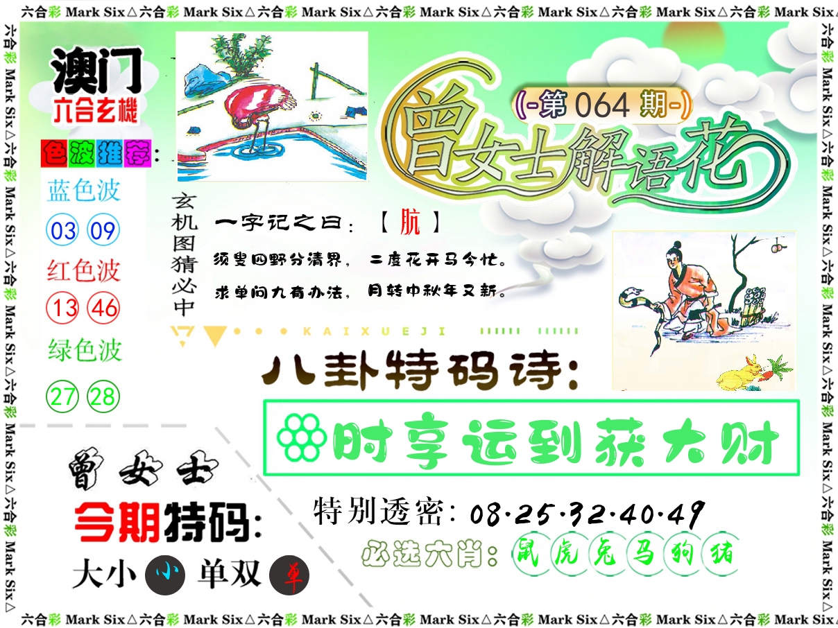 曾女士解语花 第64期