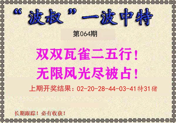 波叔中特 第64期