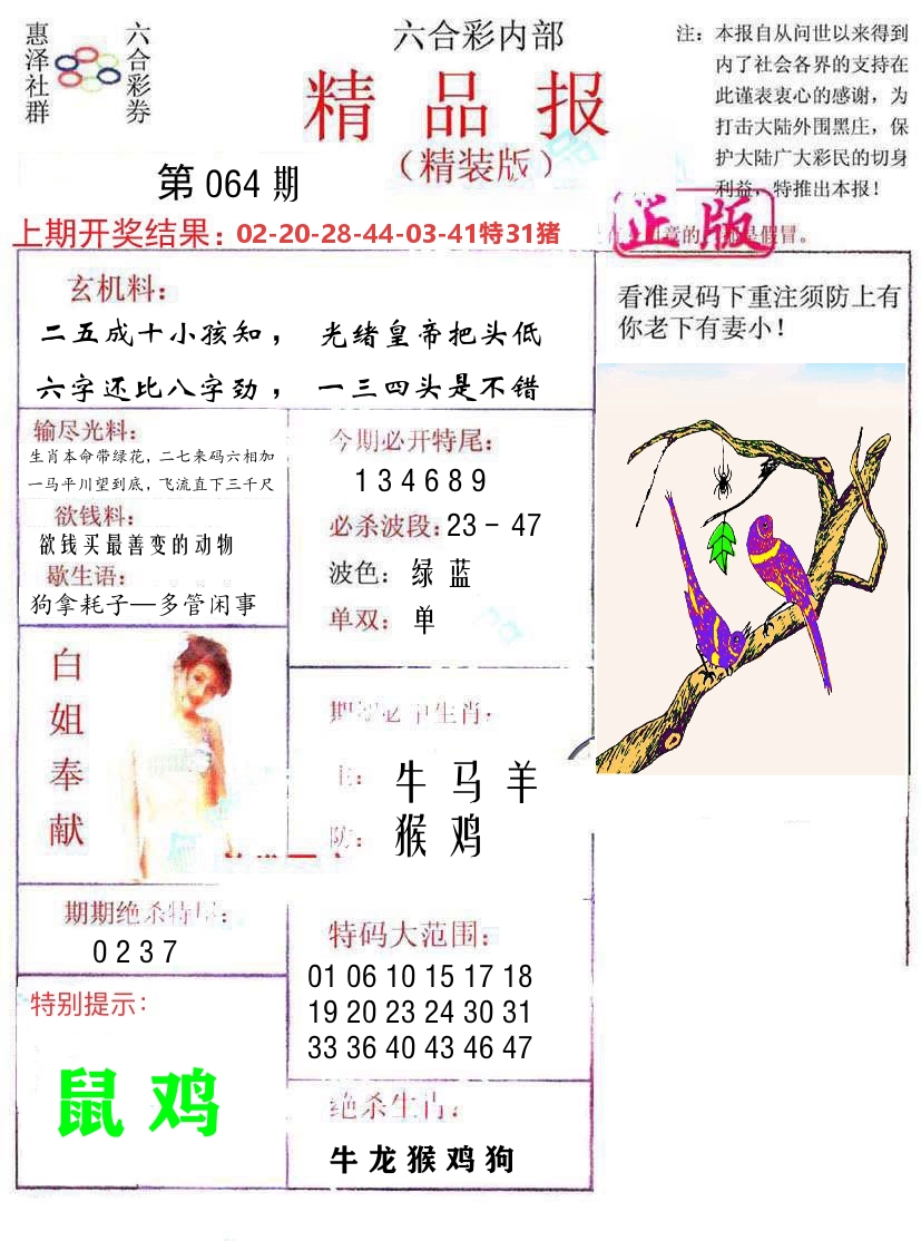 精品报 第64期