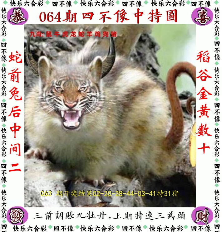 四不像 第64期