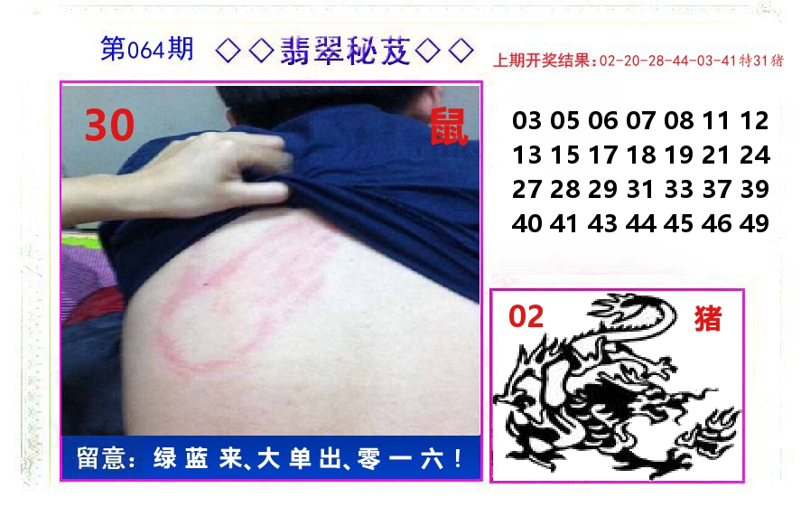 翡翠秘芨 第64期