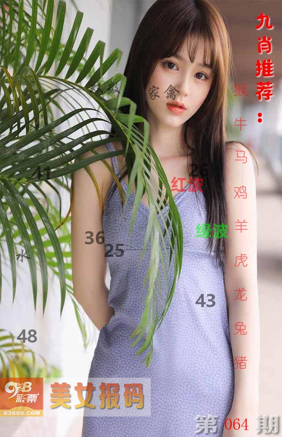 美女报码 第64期