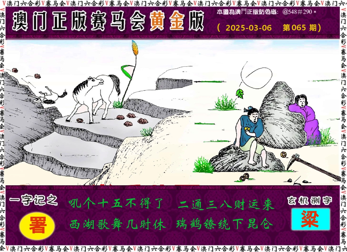 赛马会黄金版 第65期