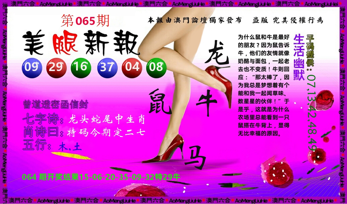 美腿新报 第65期