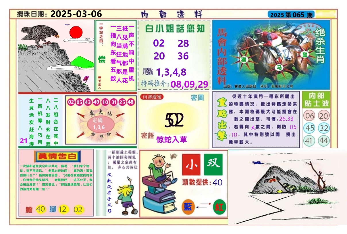 澳门内部透料A 第65期