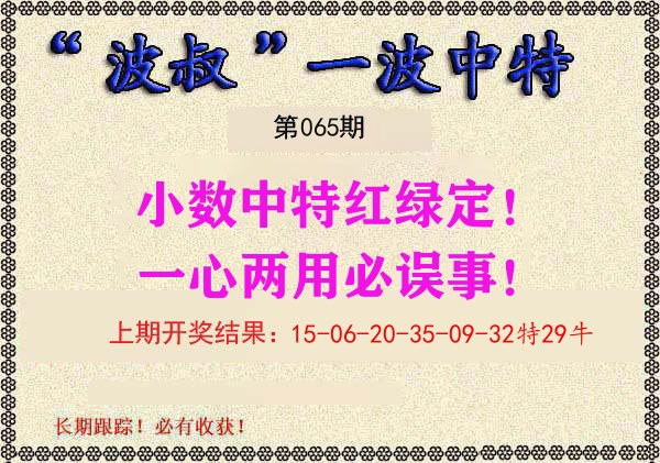 波叔中特 第65期
