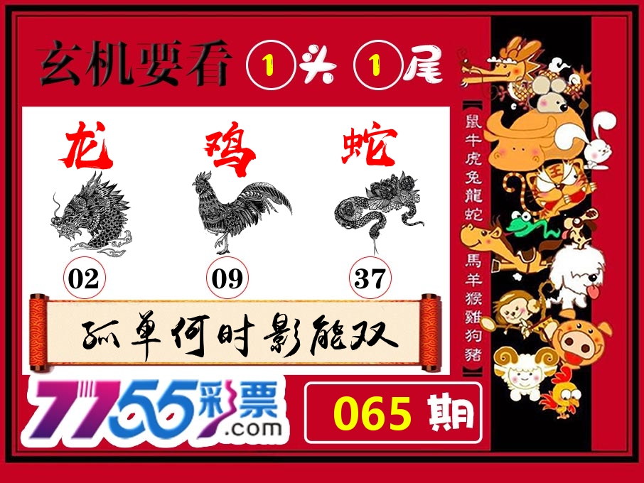 玄机要看 第65期