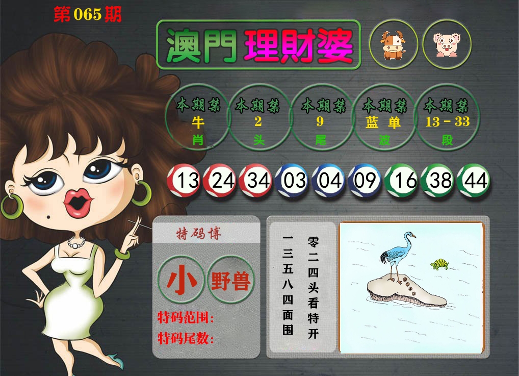 理财婆 第65期