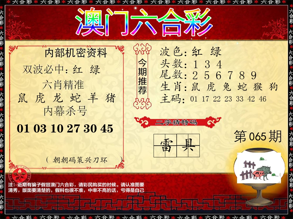 内部机密资料 第65期